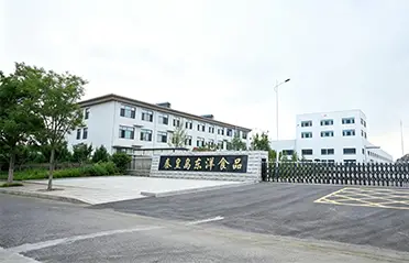 Dongyang Foods on 250 miljoonan RMB:n investoinnilla ja 40 000 ㎡:n tehtaalla rakentanut vahvan perustan korkealaatuiselle pikanuudelituotannolle.